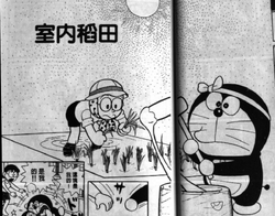 室內稻田