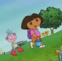 Berry Hunt Dora The Explorer Wiki Fandom