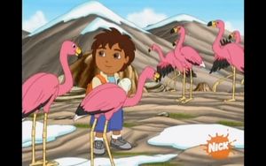 A New Flamingo Mami | Dora the Explorer Wiki | Fandom