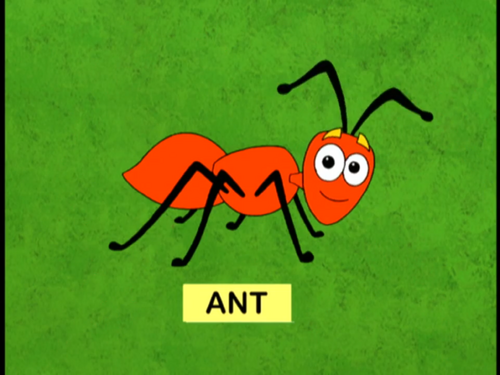 Ant | Dora the Explorer Wiki | Fandom