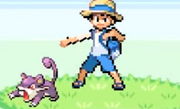 Bug Catcher's ratata