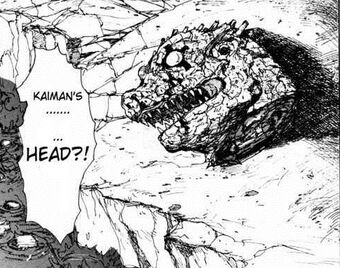 Get Kaiman S Severed Head Dorohedoro Wiki Fandom Desktop Wallpaper Get Wallpaper Kaiman S Severed Head Dorohedoro Wiki Fandom Free HD