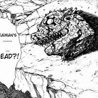 Wallpaper Kaiman S Severed Head Dorohedoro Wiki Fandom For Android