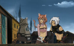 Distrust2