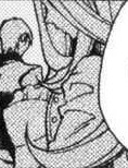 Aina Indou