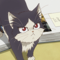 Haru Mikazuki My Roommate Is A Cat Wiki Fandom