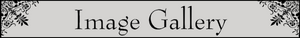Image Gallery section title
