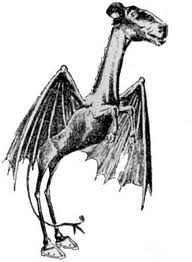 Jersey Devil