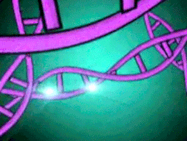 S03M04 halfa DNA mutation