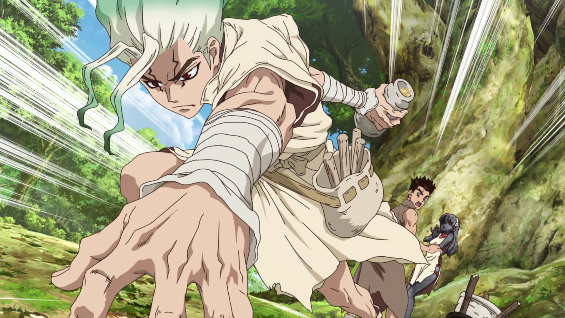 Dr. Stone