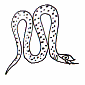 Apophis