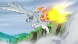 Reshiram