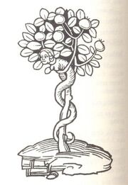 Haselwurm