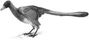 Urvogel