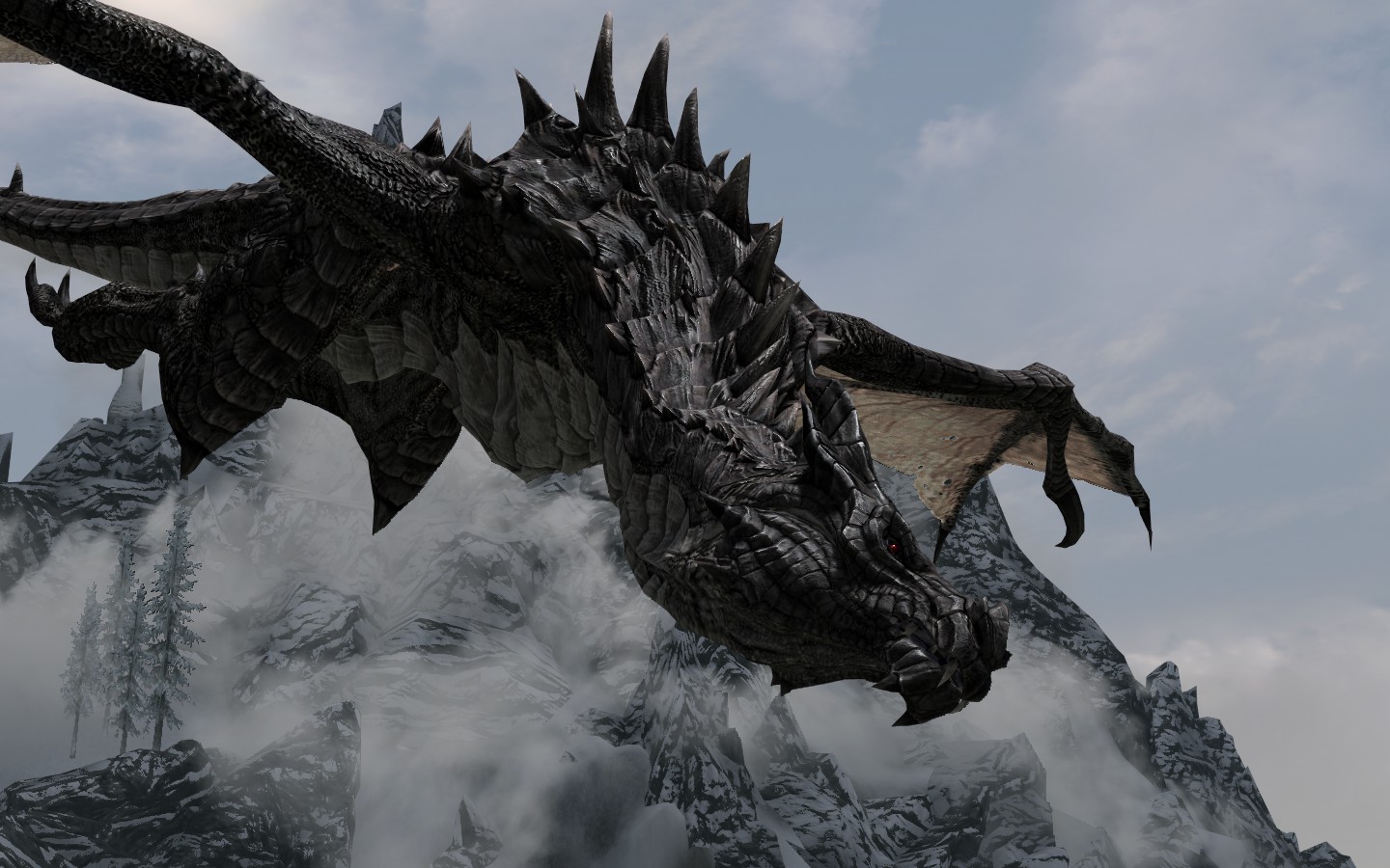 Drache Oder Drachen Drache Oder Drachen