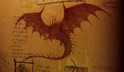 Skrill Buch der Drachen