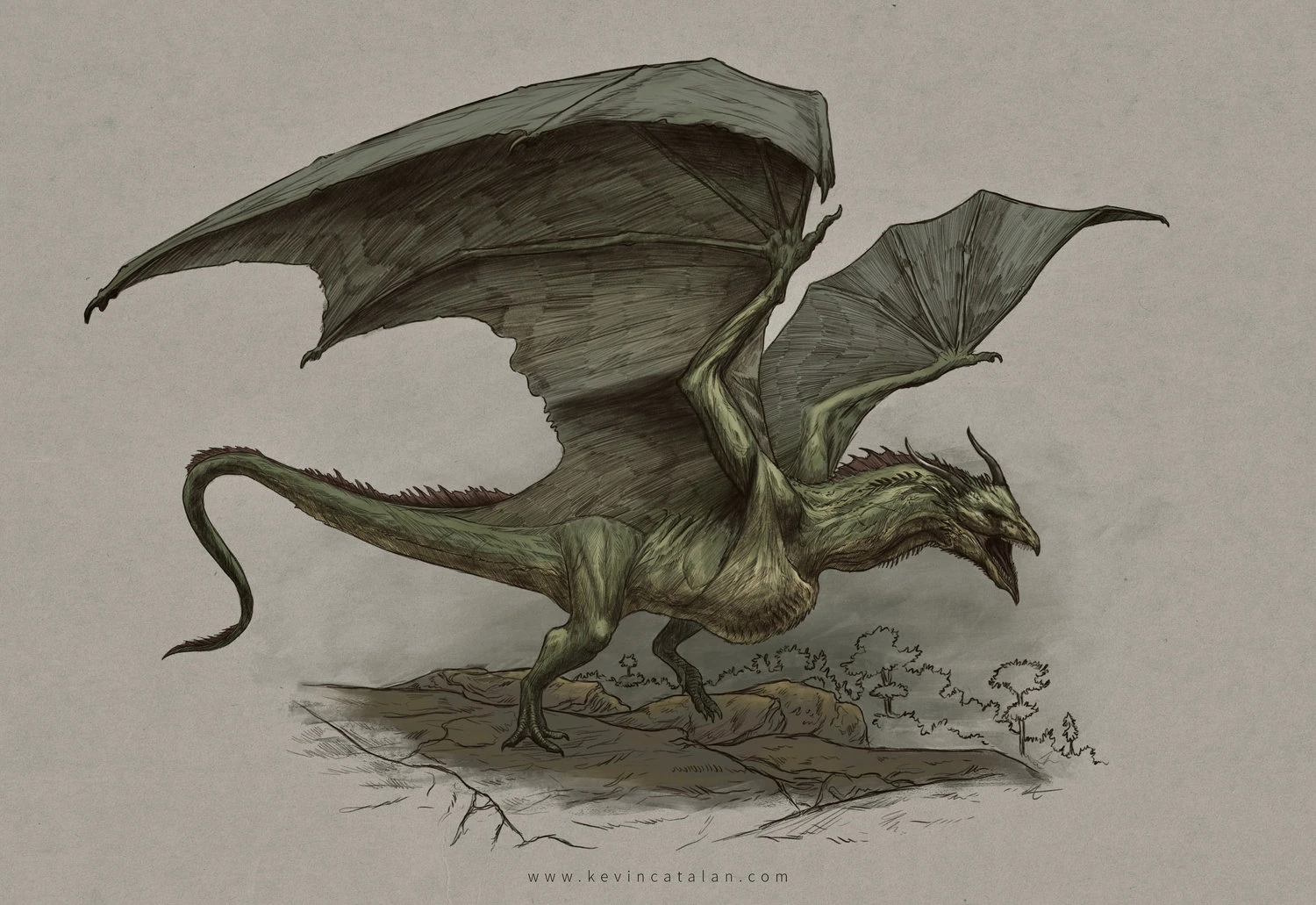Wyvern (Das Lied von Eis und Feuer) Drachen Wiki Fandom