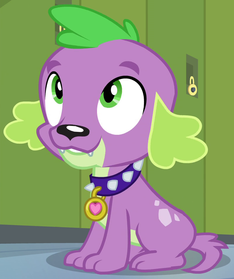 Bild Spike My Little Pony Hund.png Drachen Wiki FANDOM powered by Wikia