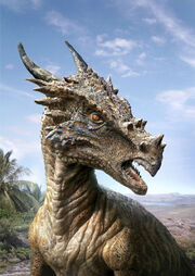 Dracorex-at-home