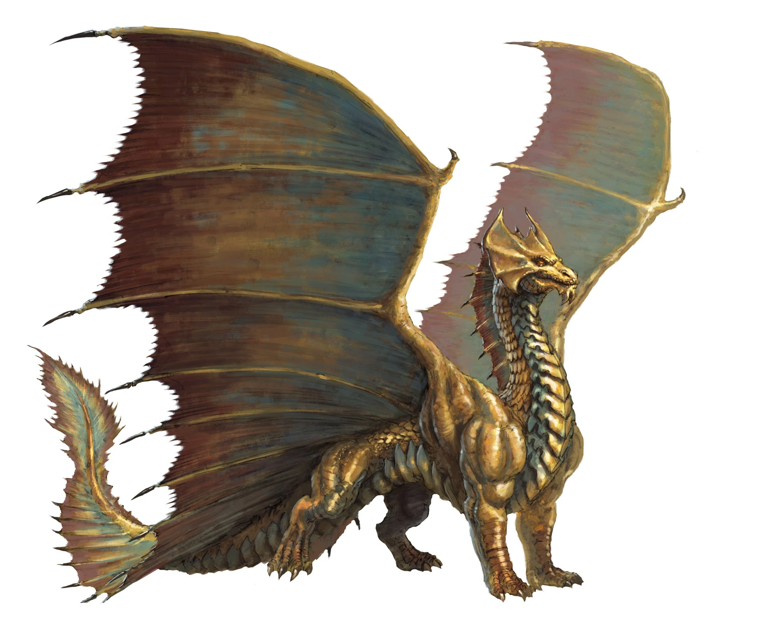 Metallische Drachen | Drachen Wiki | Fandom