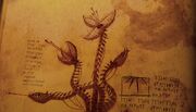 Schnappende Falle Buch der Drachen