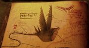 Donnertrommler Buch der Drachen