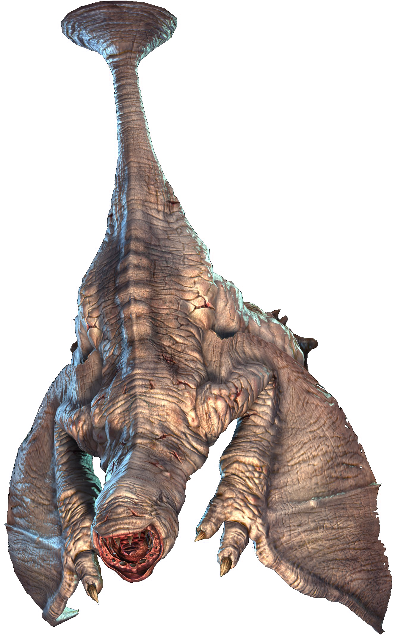 Khezu | Drachen Wiki | FANDOM powered by Wikia