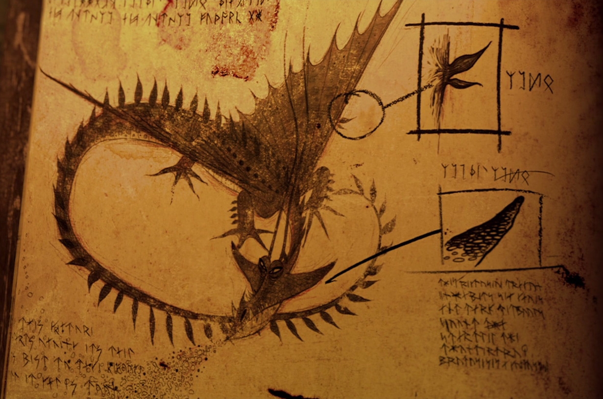 Как приручить дракона книга. Книга драконов из мультика. Драка книгами. Драконий учебник. Моя книга драконов 1.