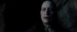 Images-3