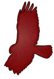 Hawk