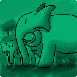 Day007