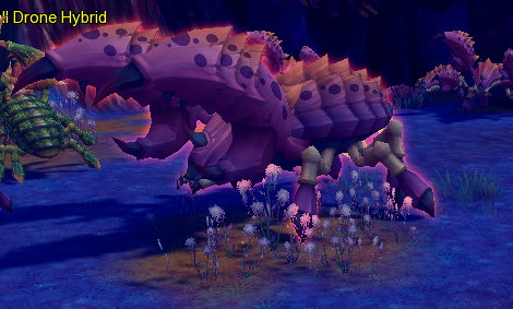 dragomon hunter pvp dragomon hunter pvp