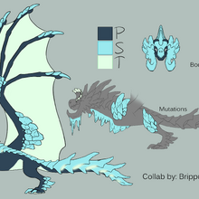 Winter Update Dragon Adventures Wiki Fandom