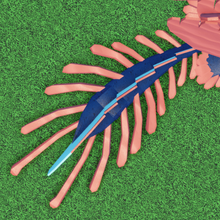 Mutations Dragon Adventures Wiki Fandom