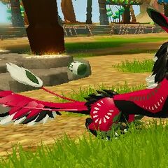 Aranga Bunny Dragon Adventures Wiki Fandom