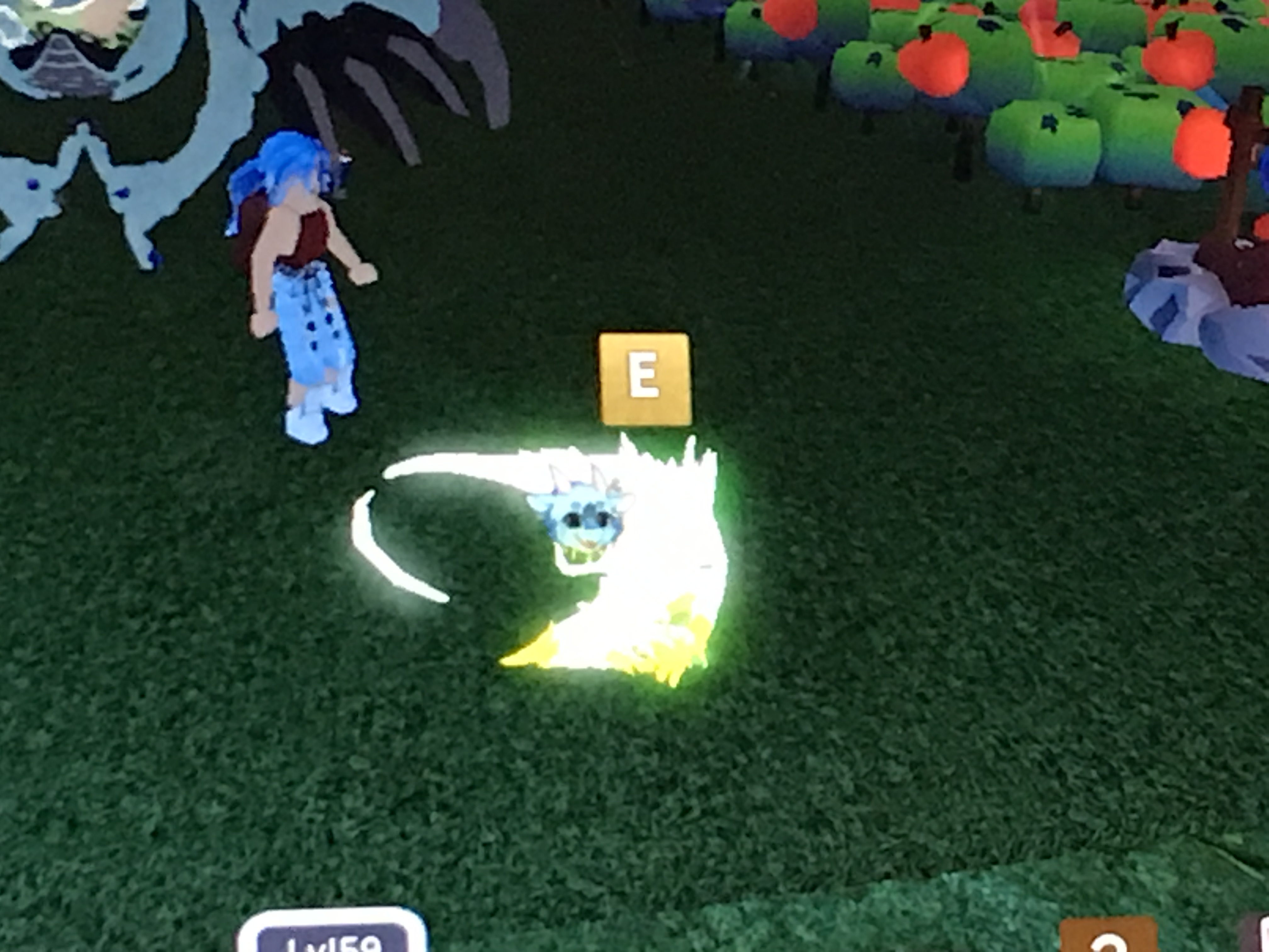 New Dragon Trading Offers Dragon Adventures Wiki Fandom