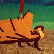 Rocirus Starter Gallery Dragon Adventures Wiki Fandom