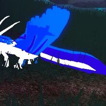 Amphyll Axolotl Gallery Dragon Adventures Wiki Fandom