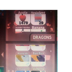 User Beware Page Dragon Adventures Wiki Fandom