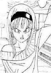 bulla dragon ball sf wikia fandom powered by wikia