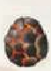 Egg vulcanicp