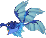 RainDragonJuvenile