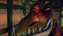 Images-3