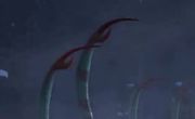 Stinger tail
