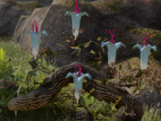 Category Dragon Age Inquisition Requisition Items Dragon Age