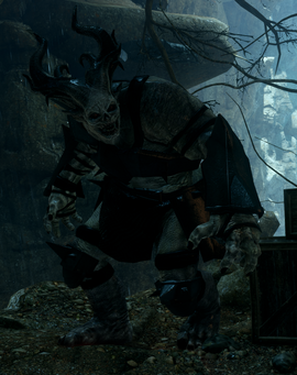 Ogre Alpha - inquisition