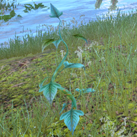 Category Dragon Age Inquisition Requisition Items Dragon Age