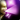 Talent-SongOfCourage icon