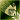 Light gloves green DA2