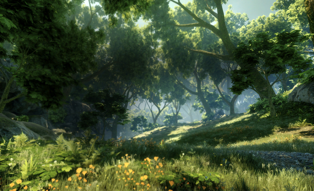 Deep In Heart Of Emerald Forest >> Emerald Graves Dragon Age Wiki Fandom Powered By Wikia Deep In Heart Of Emerald Forest >> Emerald Graves Dragon Age Wiki Fandom Powered By Wikia
